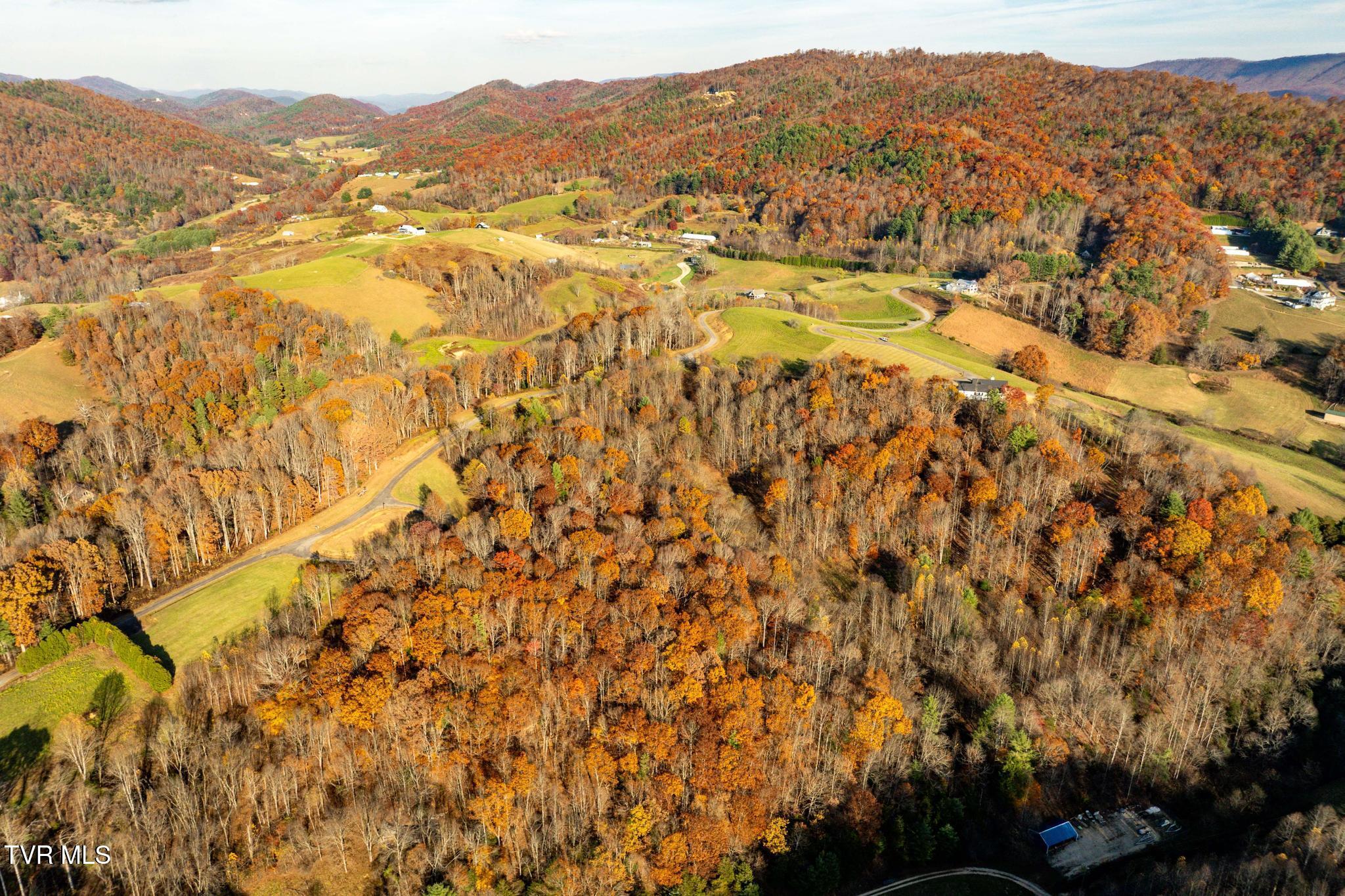 Lot 51 Redbud Circle, Unit 51 Butler, TN 37640 - Photo 5 of 31 Lot 51Eagle Ridge (4 of 27)