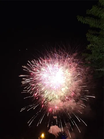 $375,000 | 14230 Avenue Of The Groves, Winter Garden, FL 34787