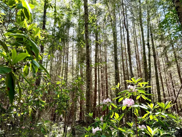 $774,000 | 125 Parker Wood Lane, Coupeville, WA 98239