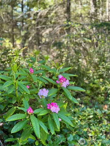 $774,000 | 125 Parker Wood Lane, Coupeville, WA 98239