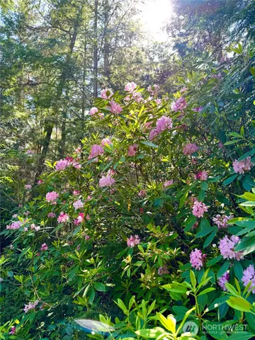 $774,000 | 125 Parker Wood Lane, Coupeville, WA 98239