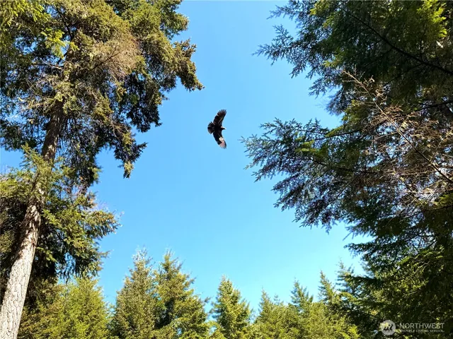 $774,000 | 125 Parker Wood Lane, Coupeville, WA 98239