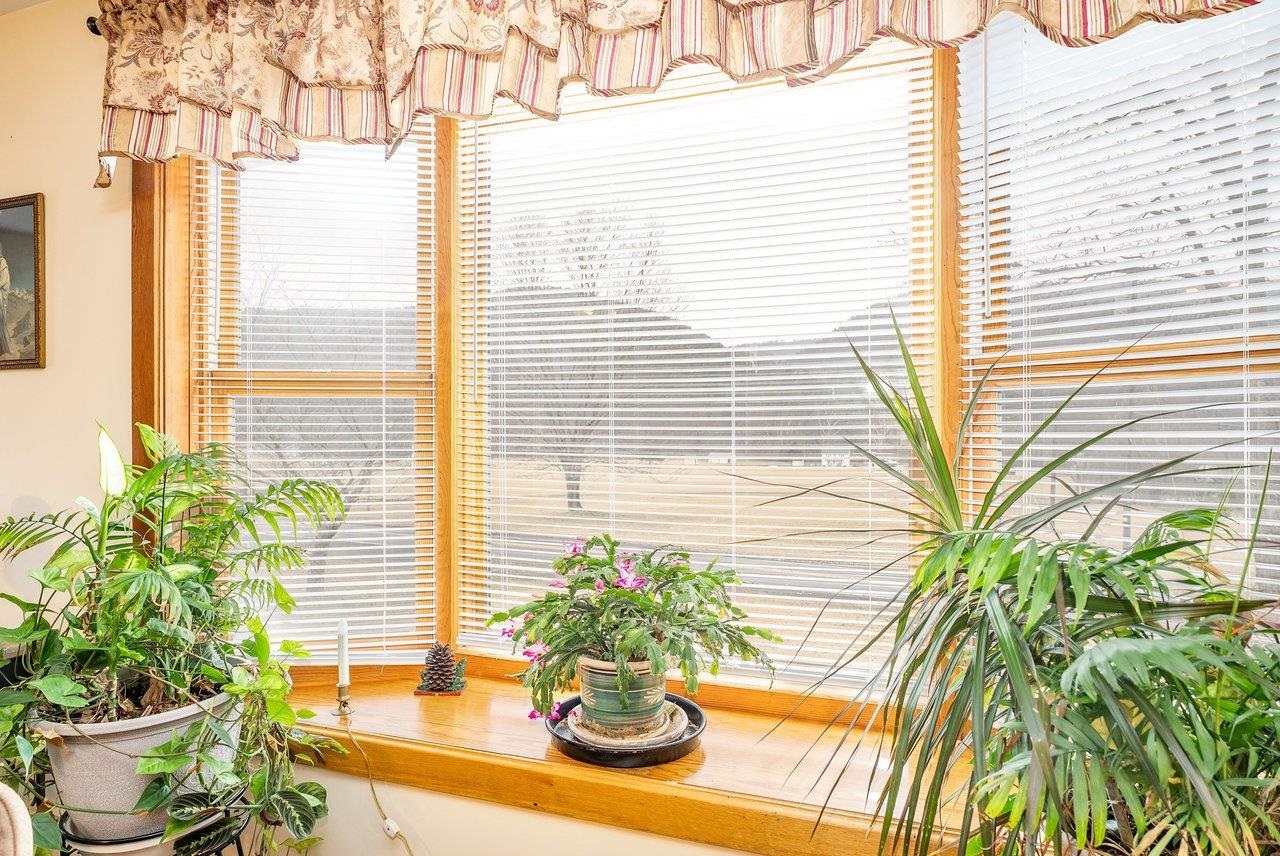 8545 Sugar Grove Road Sugar Grove, WV 26815 - Photo 8 of 75 a potted plant sitting on a wooden floor