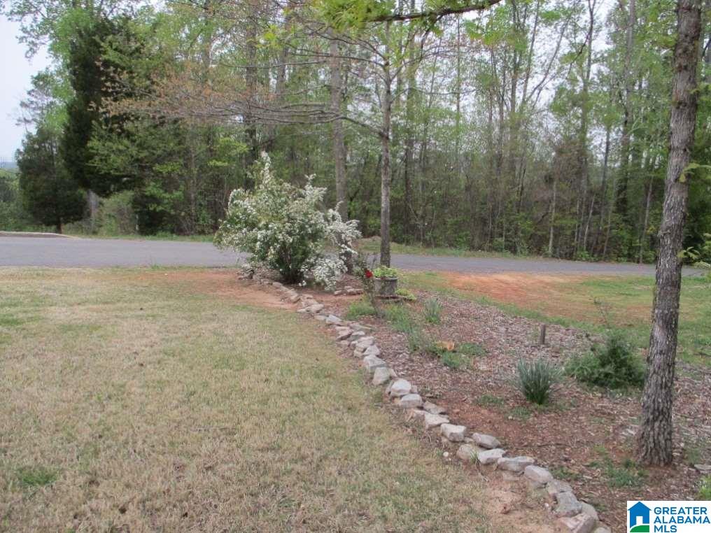 816 Ransome Drive Oneonta, AL 35121 - Photo 39 of 43
