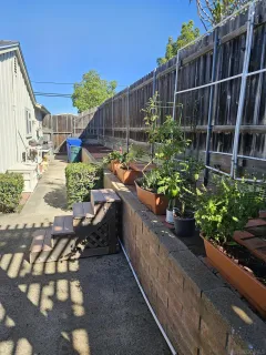 a backyard of a house