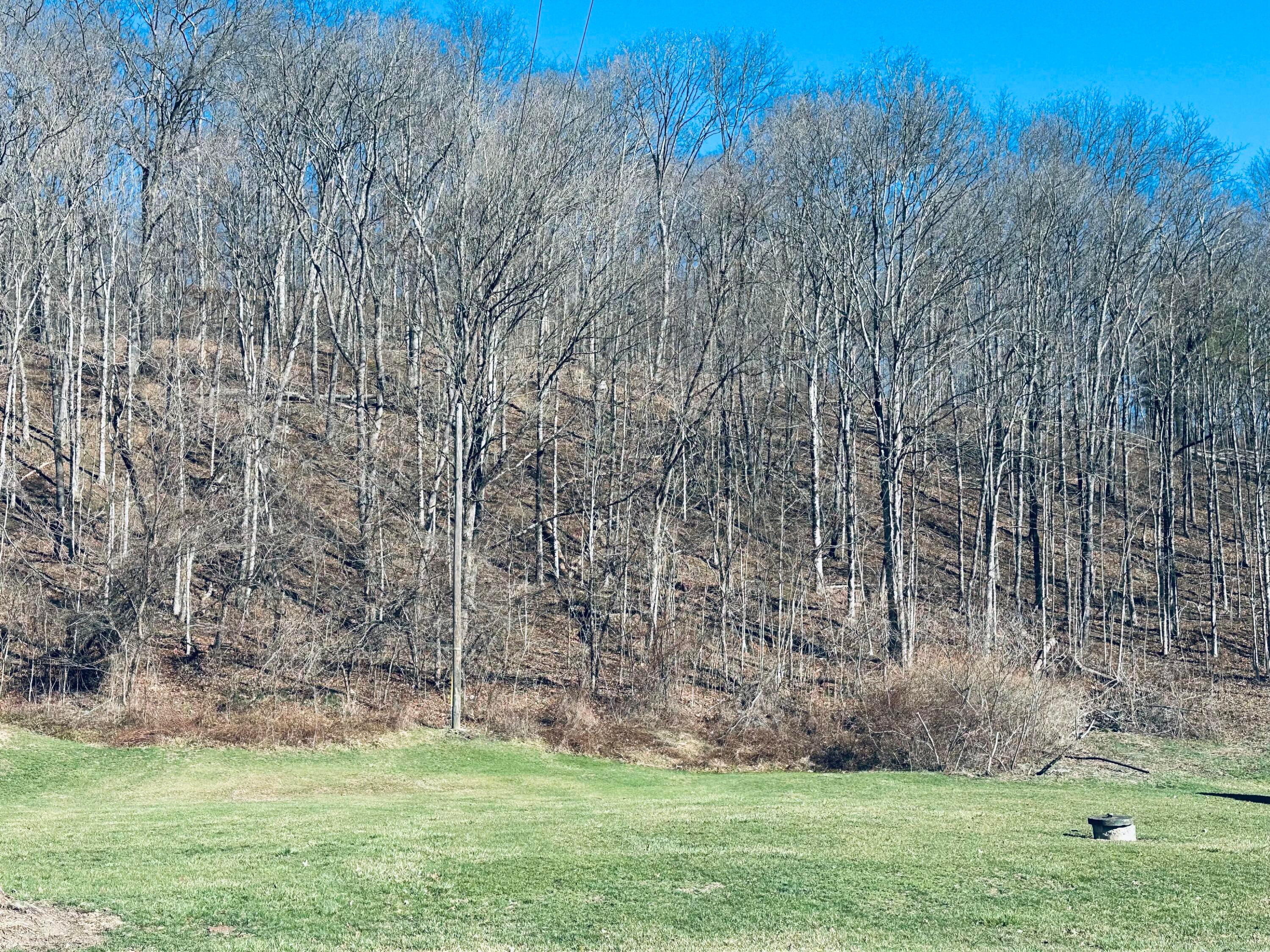 0 Marietta Road Cumberland, OH 43732 - Photo 6 of 10