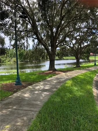 a view of a park with tree s