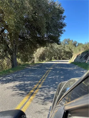 a view of a yard with large trees