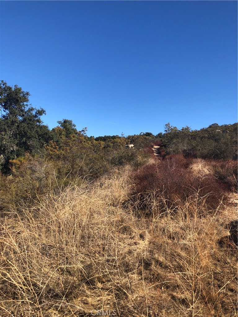 0 Red Mountain Road Hemet, CA 92544 - Photo 14 of 16 a view of mountain