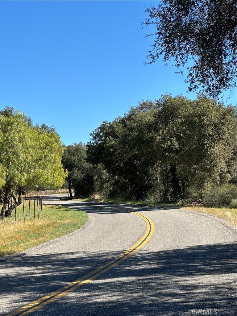 0 Red Mountain Road Hemet, CA 92544 - Photo 3 of 16 a view of swimming pool with a lawn chairs and plants