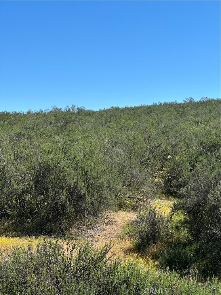 0 Red Mountain Road Hemet, CA 92544 - Photo 4 of 16 a view of a lake with a mountain in the background