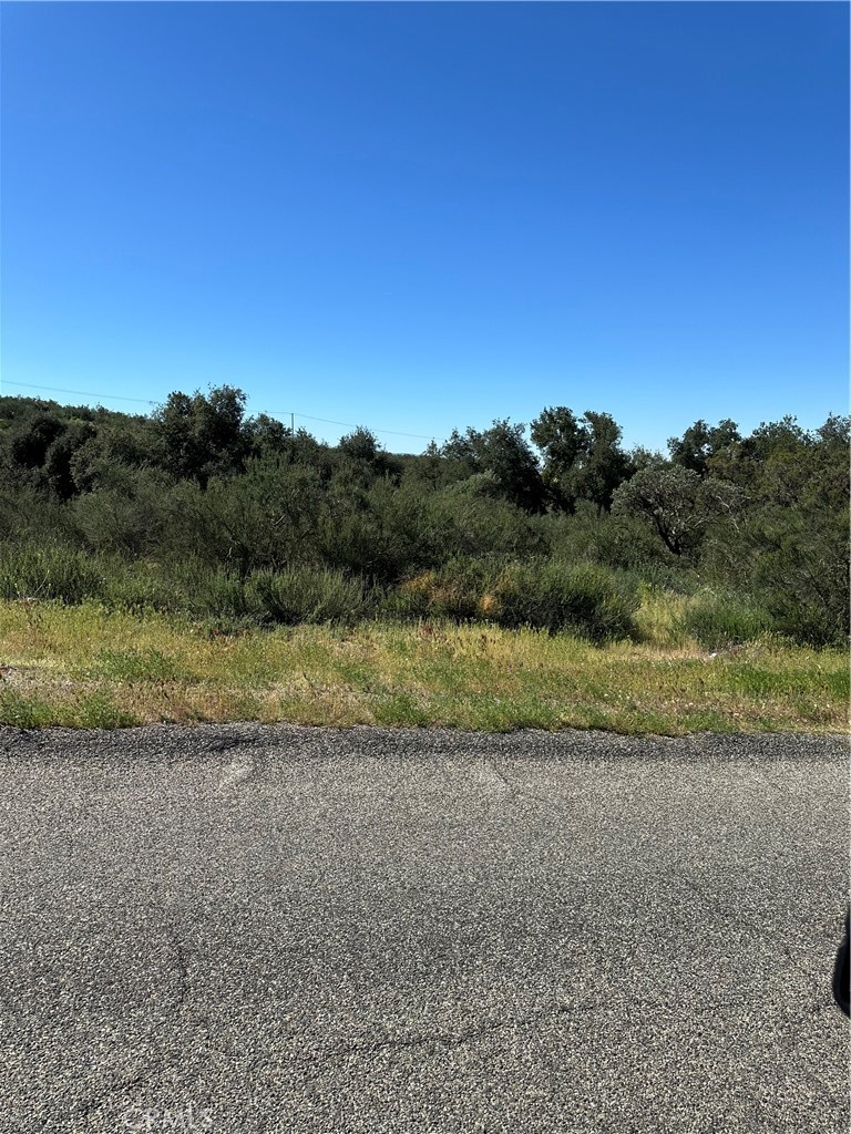 0 Red Mountain Road Hemet, CA 92544 - Photo 10 of 16 a view of a yard