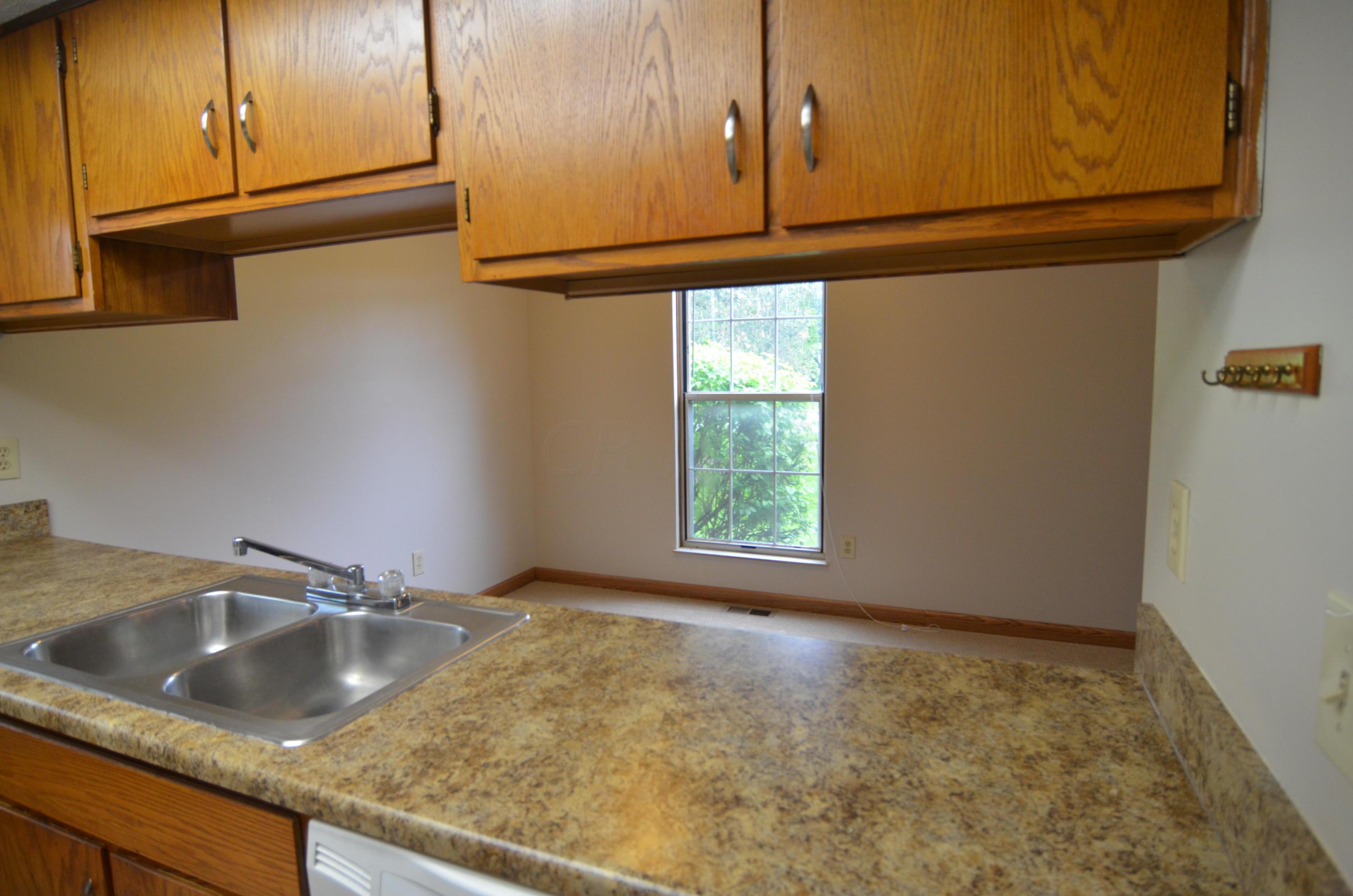 16 Ravine Ridge Drive South Powell, OH 43065 - Photo 12 of 17