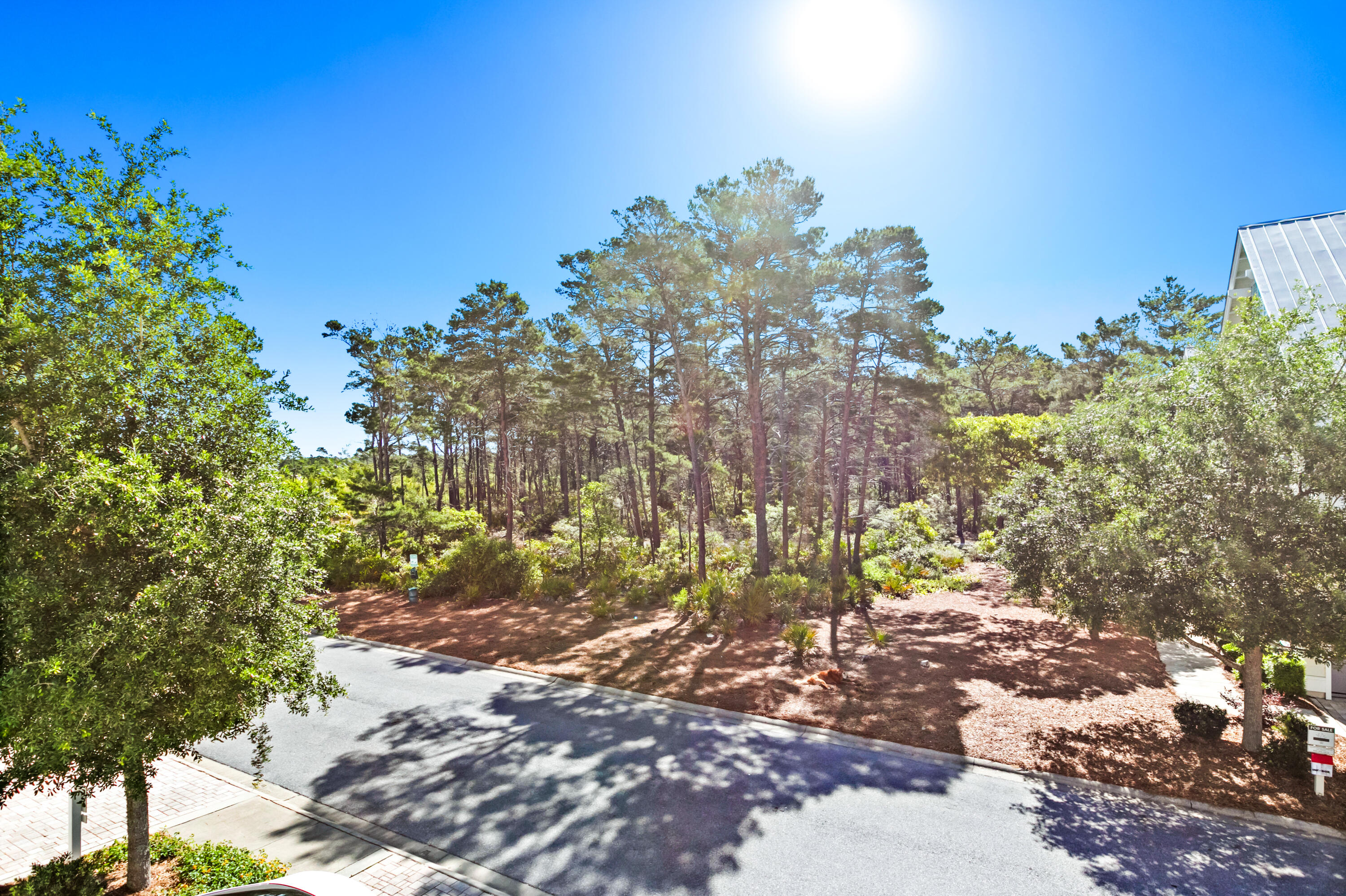 111 East Milestone Drive, Unit C Inlet Beach, FL 32461 - Photo 31 of 37 a view of a yard with a tree