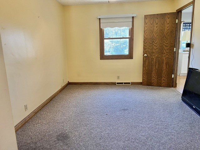 107 Hilltop Street Colona, IL 61241 - Photo 14 of 39