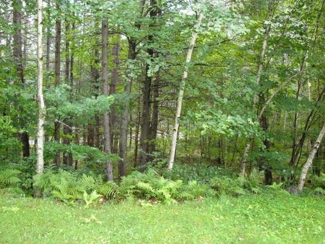 6983 Lake Mildred Road Rhinelander, WI 54501 - Photo 17 of 20 Gallery Image 17