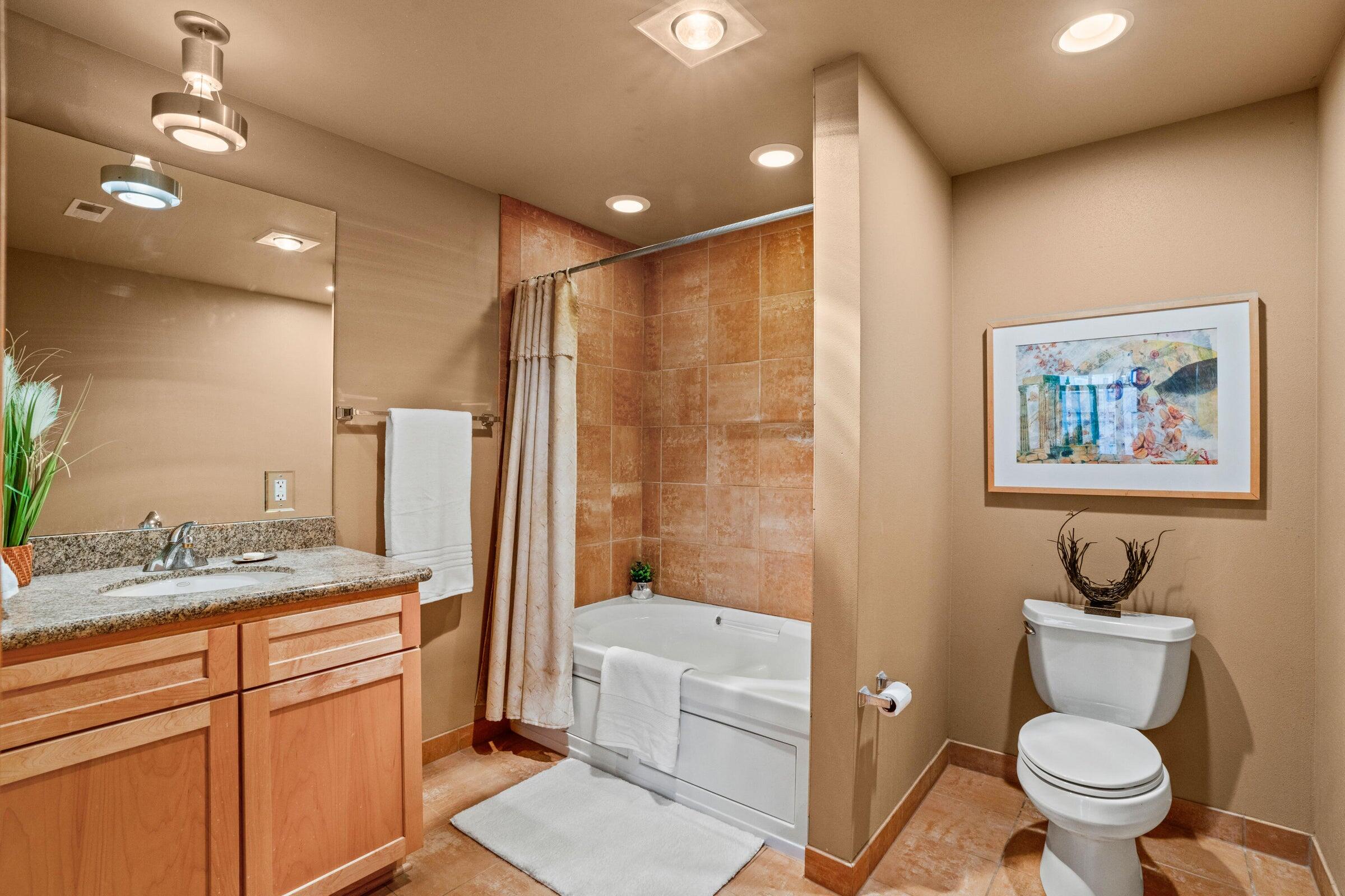 741 North Milwaukee Street, Unit 202 Milwaukee, WI 53202 - Photo 11 of 23 Granite Counter & Whirlpool Tub
