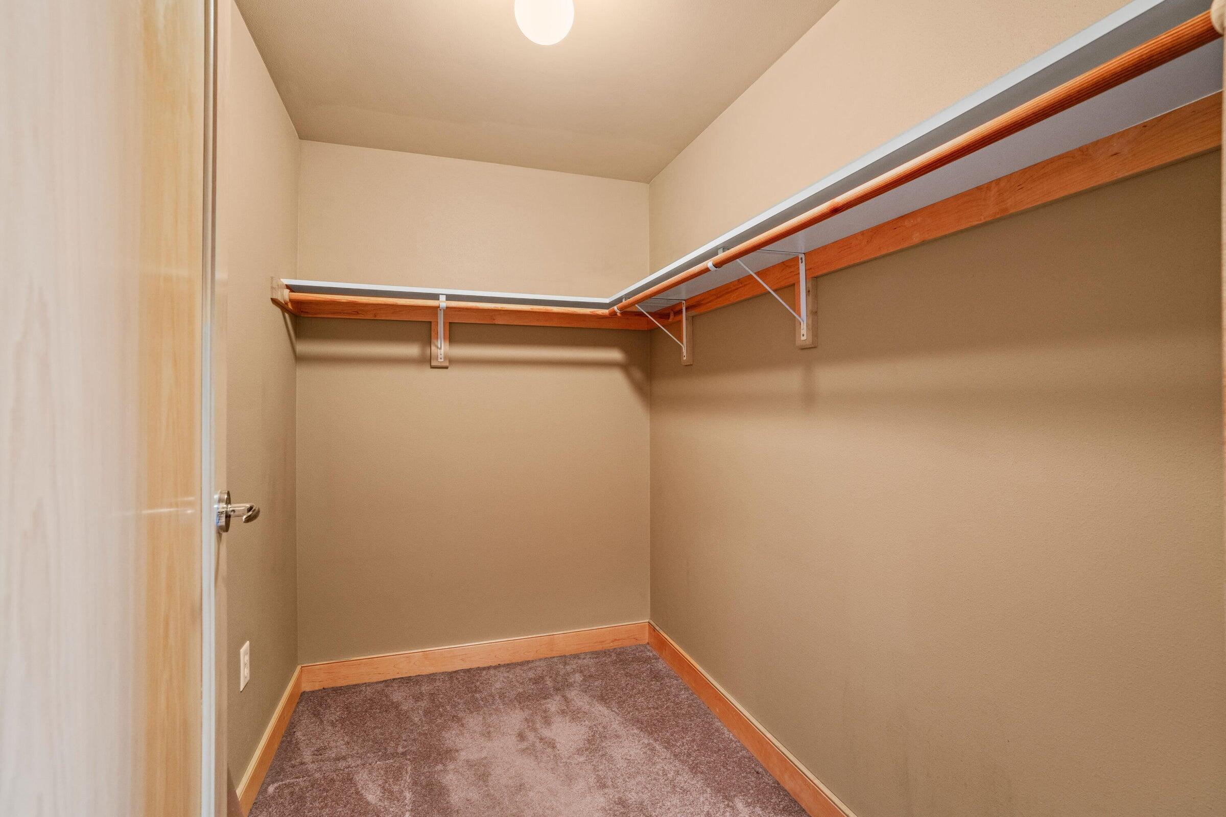 741 North Milwaukee Street, Unit 202 Milwaukee, WI 53202 - Photo 16 of 23 Walk-In Closet