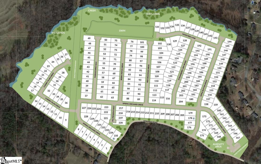 795 Spring Orchard Drive Lyman, SC 29365 - Photo 31 of 32