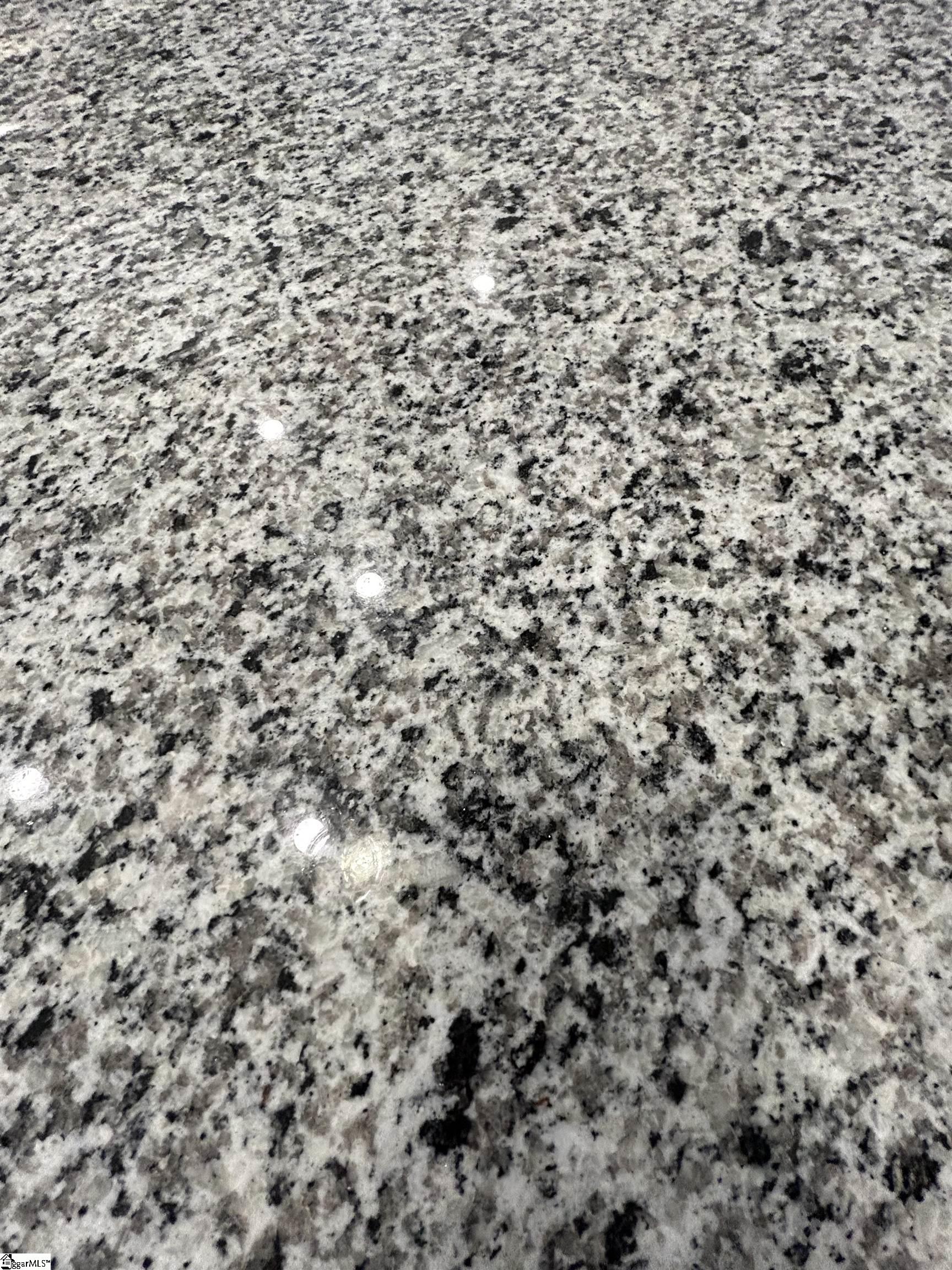 795 Spring Orchard Drive Lyman, SC 29365 - Photo 10 of 32