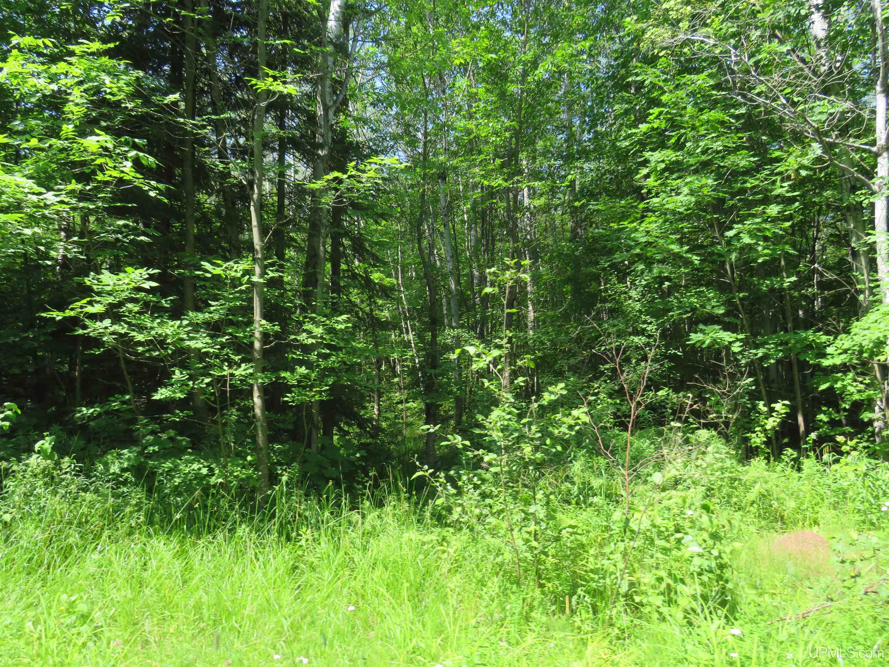 Tbd Curlew Road Ontonagon, MI 49953 - Photo 20 of 36