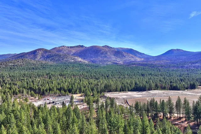 a view of a lush green hillside and a houses