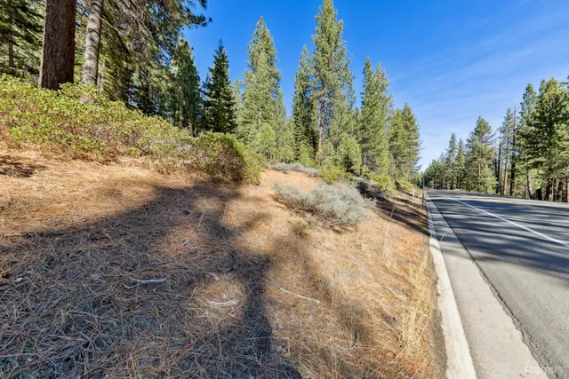 a view of a yard with trees