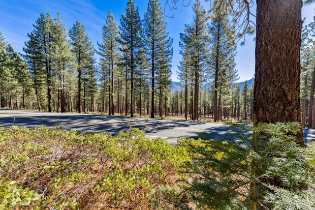a view of swimming pool with outdoor seating and trees