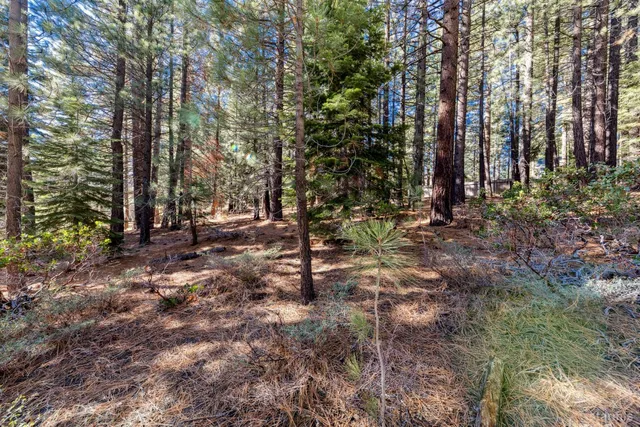 a view of outdoor space with lots of trees