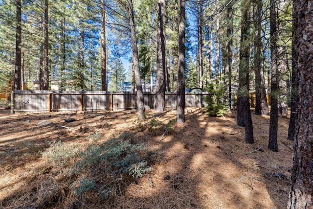 a view of outdoor space with trees