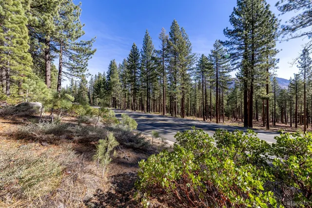 a view of a yard with large trees