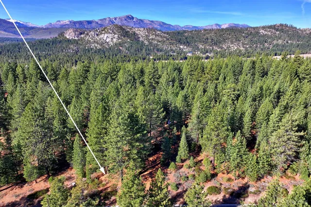 a view of a lush green hillside and a mountain