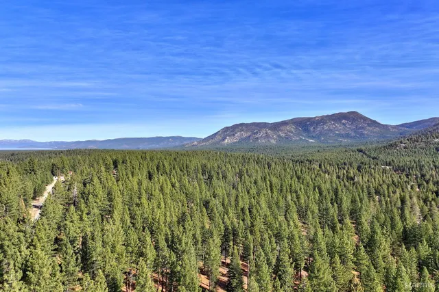 a view of a lush green field