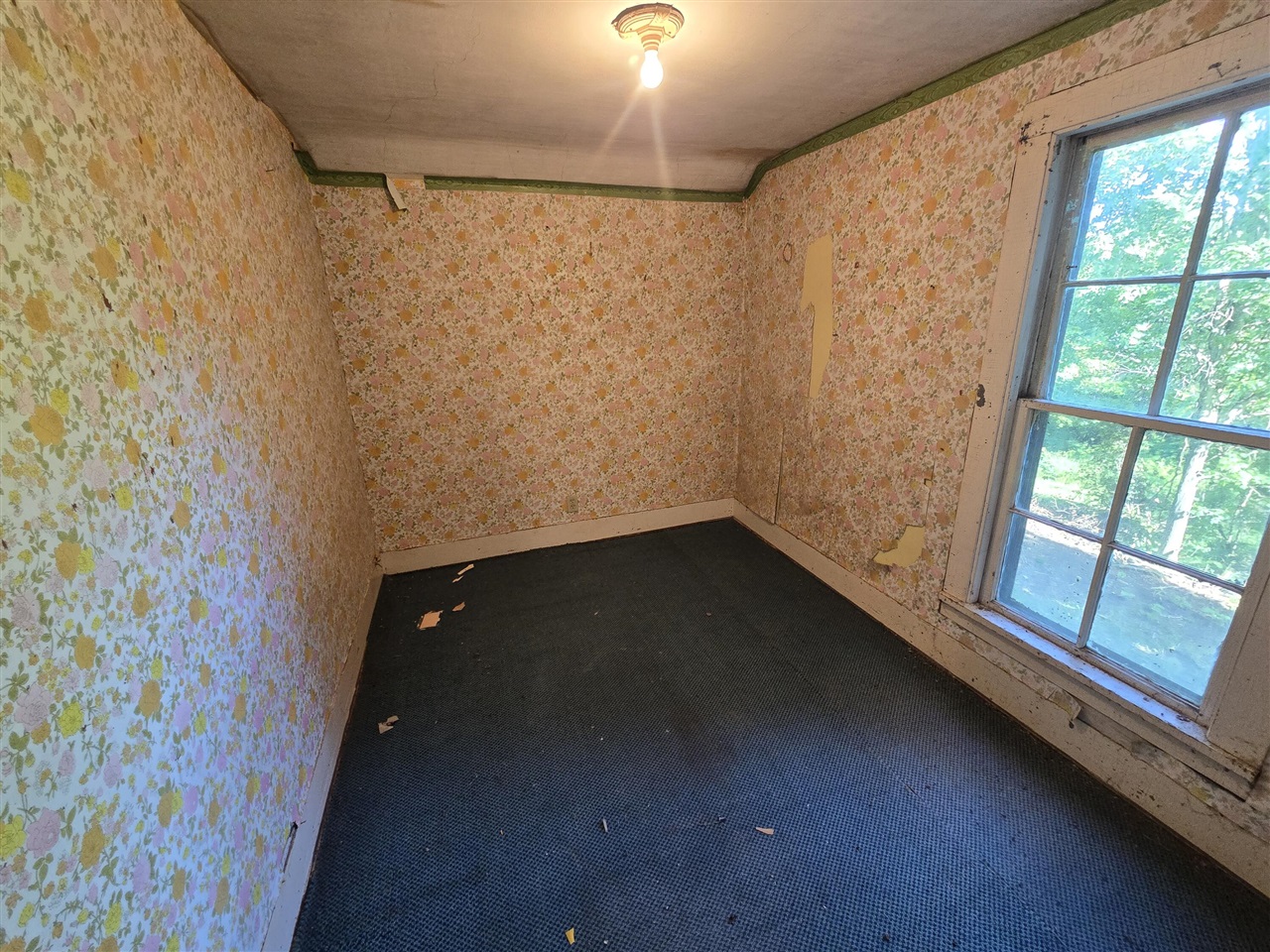 12451 Beecher Road Hudson, MI 49247 - Photo 18 of 27