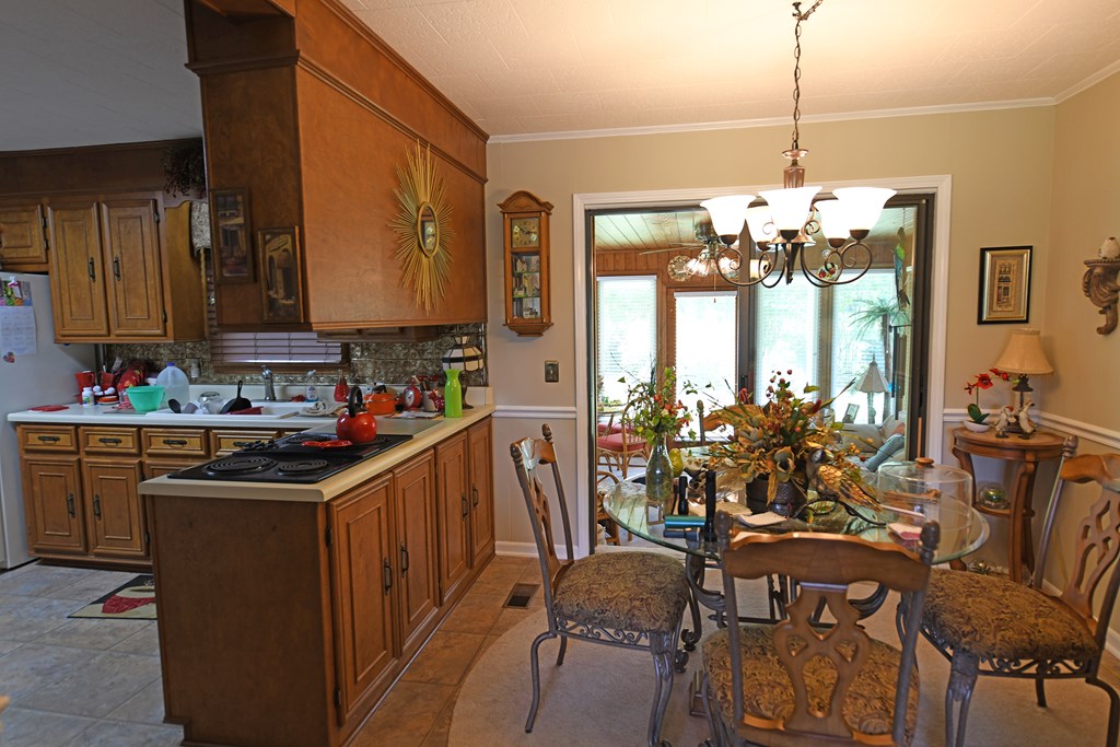 437 Trinity Road Saluda, SC 29138 - Photo 6 of 23