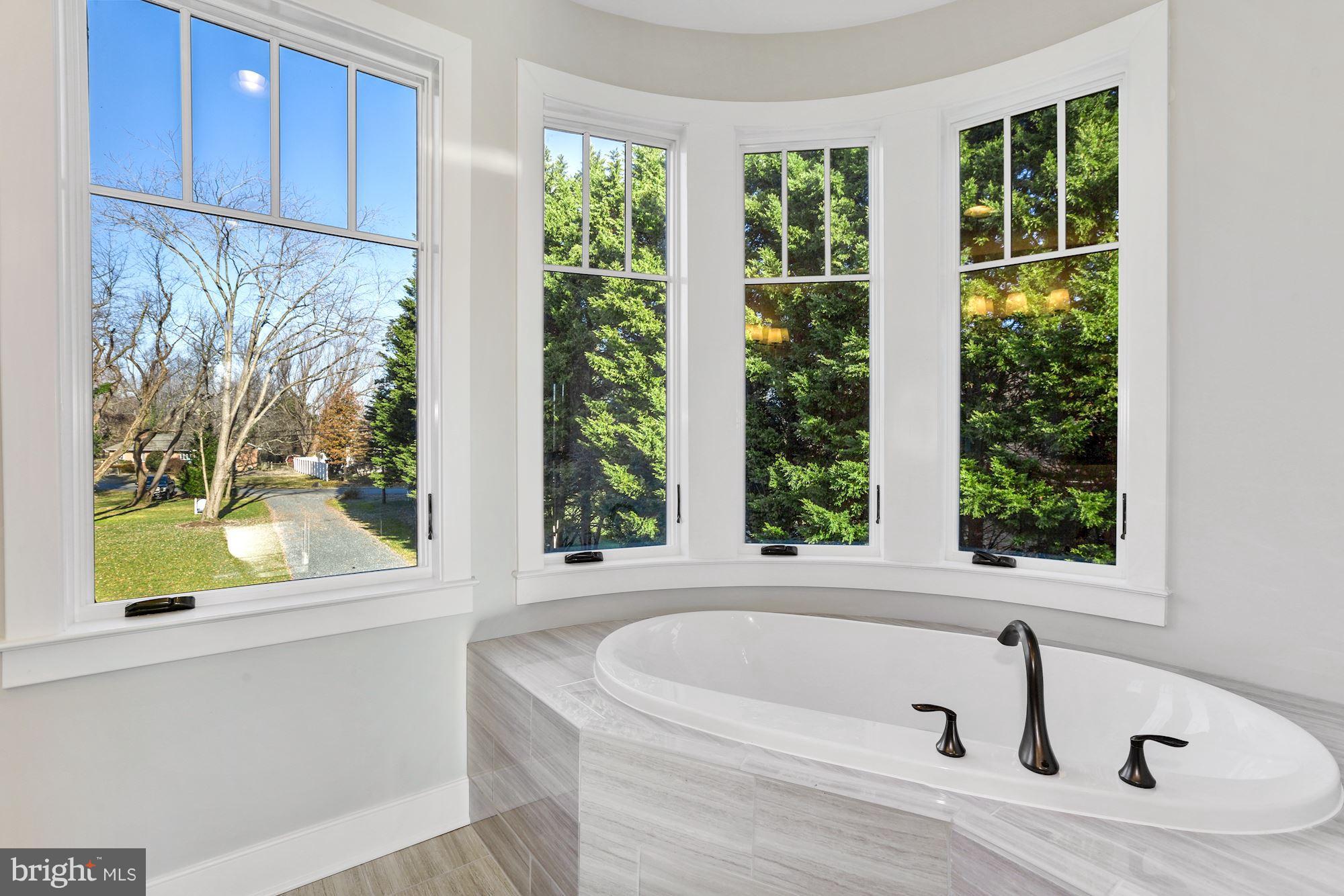 661 Red Cedar Road Annapolis, MD 21409 - Photo 28 of 47 Treetop Spa Tub Encased in Windows