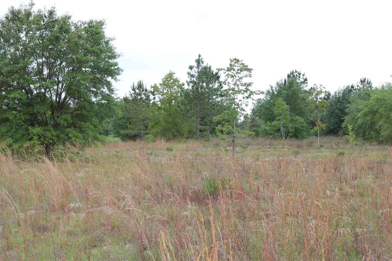 Permenter Road Milton, FL 32583 - Photo 3 of 6