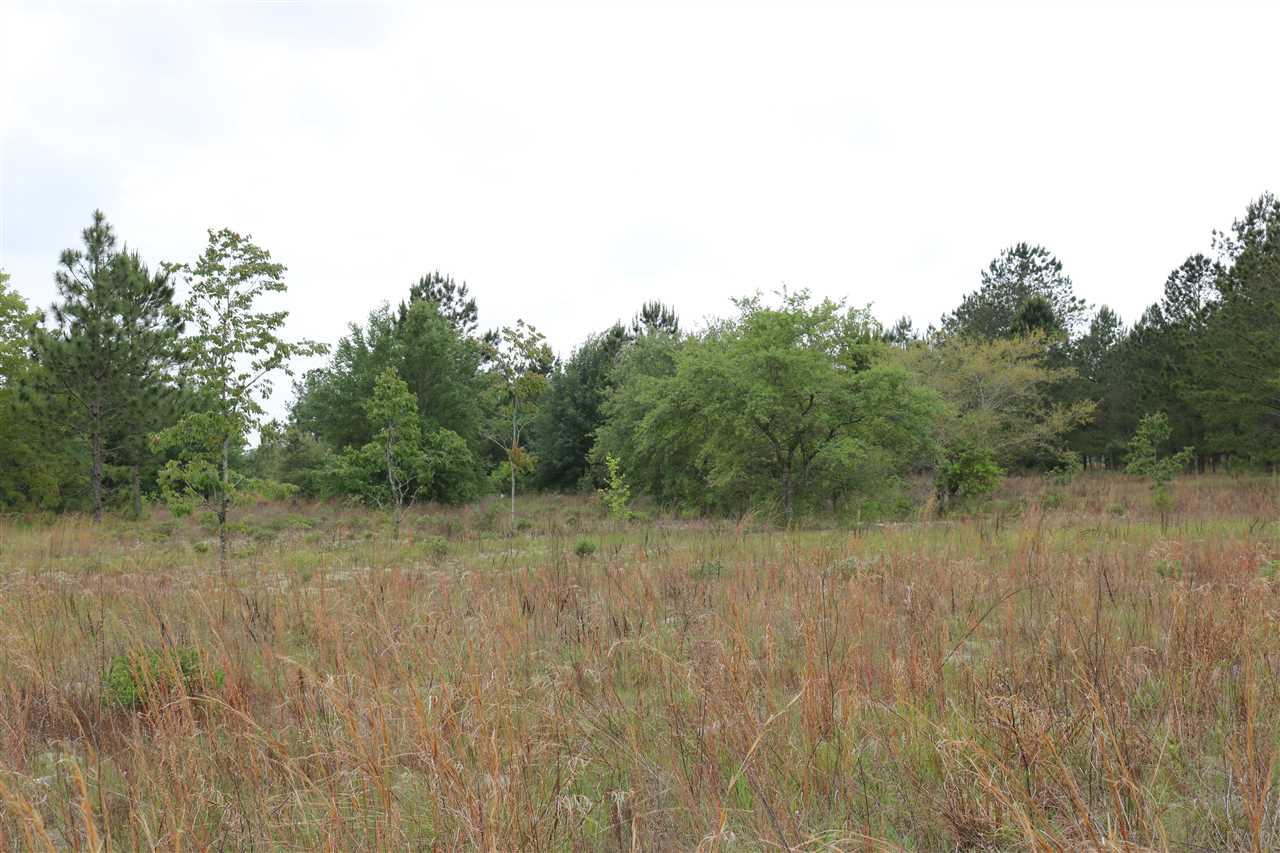 Permenter Road Milton, FL 32583 - Photo 5 of 6
