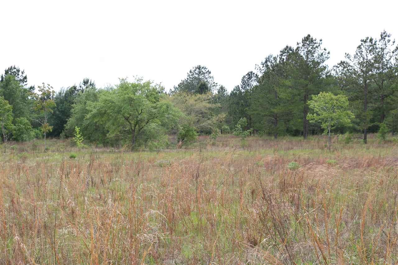 Permenter Road Milton, FL 32583 - Photo 6 of 6