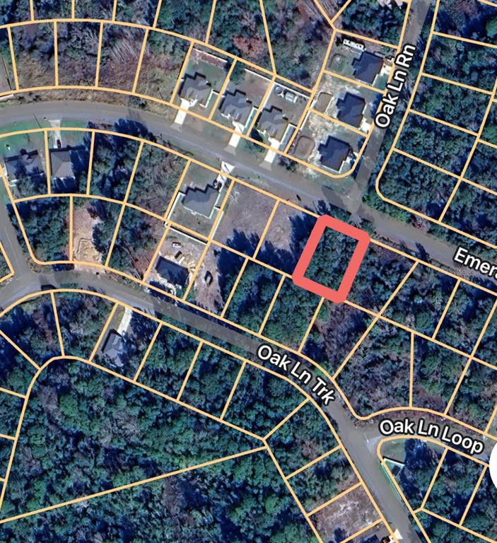 0 Emerald Road, Unit 8 Ocala, FL 34472 - Photo 4 of 8