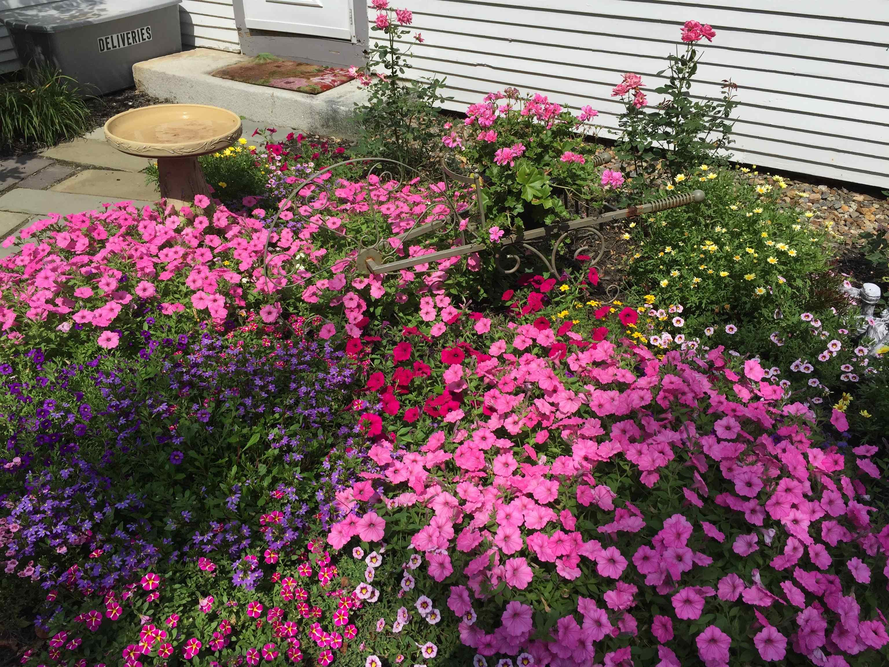 14 Curtis Road Gilford, NH 03249 - Photo 12 of 60