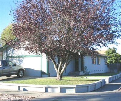 980 Stanislaus Way Santa Rosa, CA 95401 - Photo 1 of 11 Gallery Image 1
