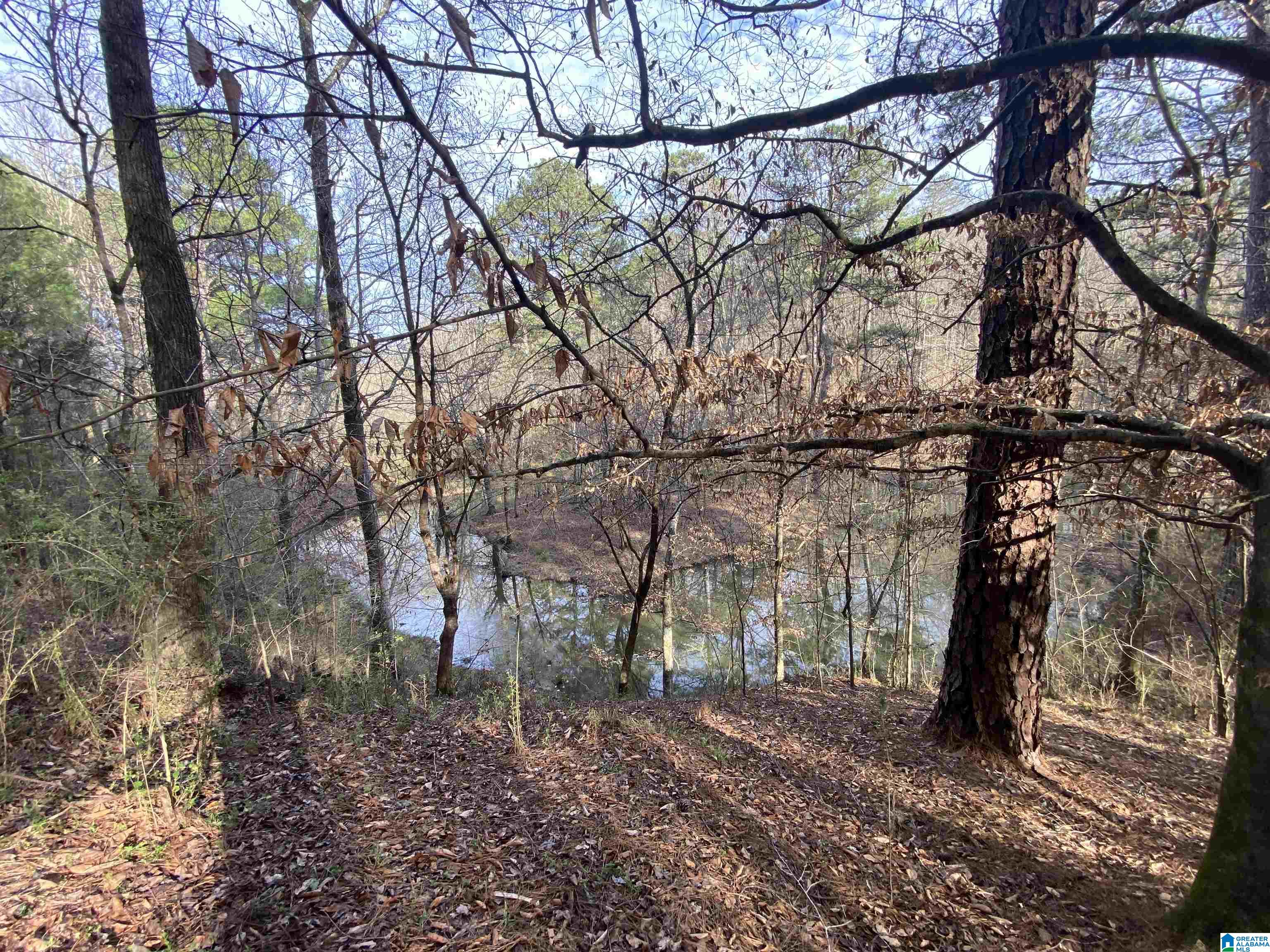 6388 Letson Lake Road, Unit 1 Bessemer, AL 35023 - Photo 11 of 20