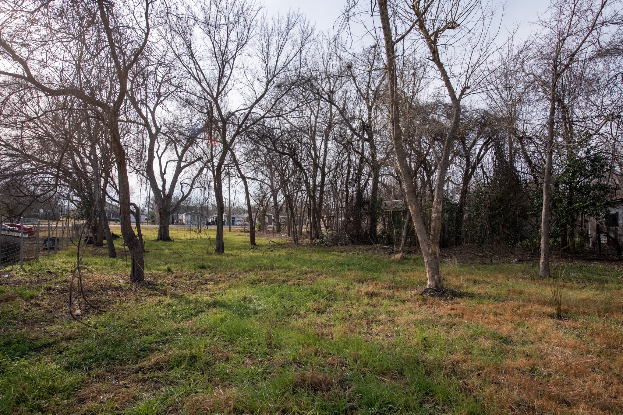 418 South Ave D Elgin, TX 78621 - Photo 5 of 29 a backyard of a house with lots of green space