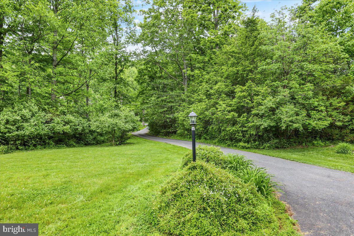 283 Witmer Road Mohnton, PA 19540 - Photo 47 of 49 Driveway view to street