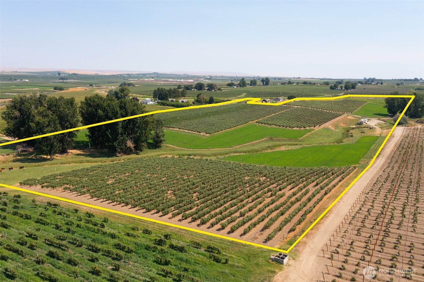 0 Olmstead Road Grandview, WA 98930 - Photo 23 of 31 a view of a pool