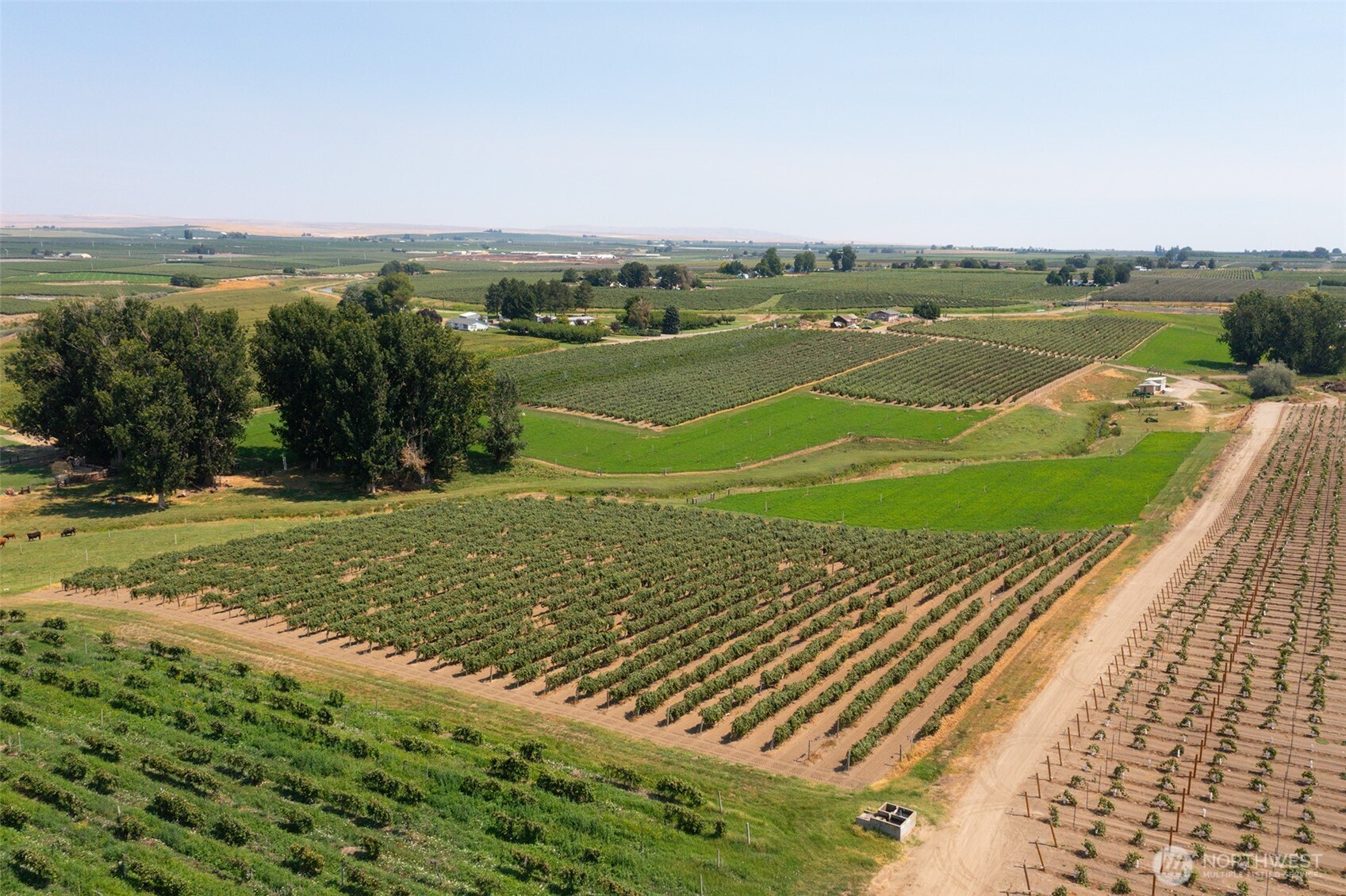 0 Olmstead Road Grandview, WA 98930 - Photo 24 of 31 a view of a city