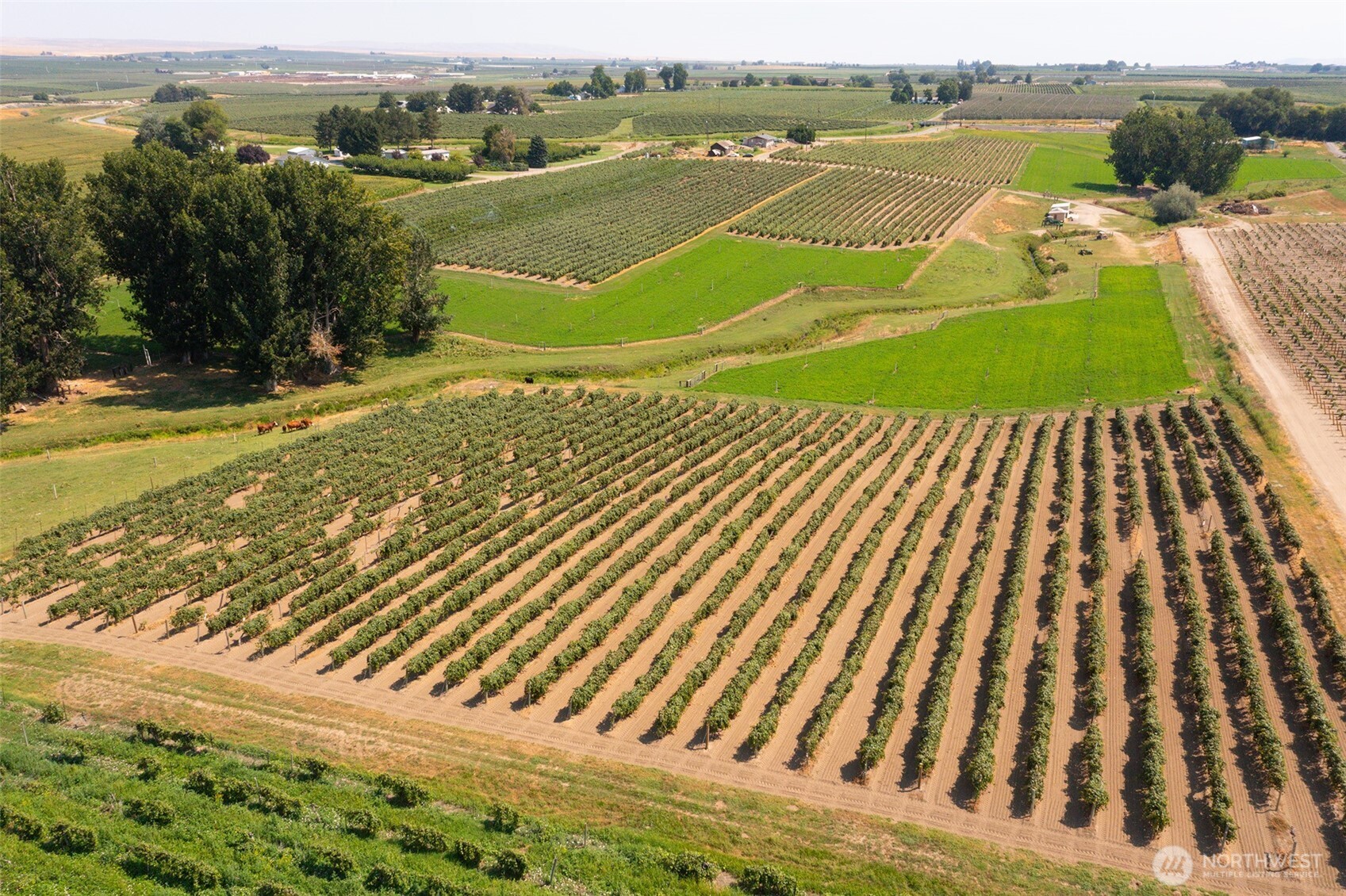 0 Olmstead Road Grandview, WA 98930 - Photo 7 of 31 a view of a tennis court