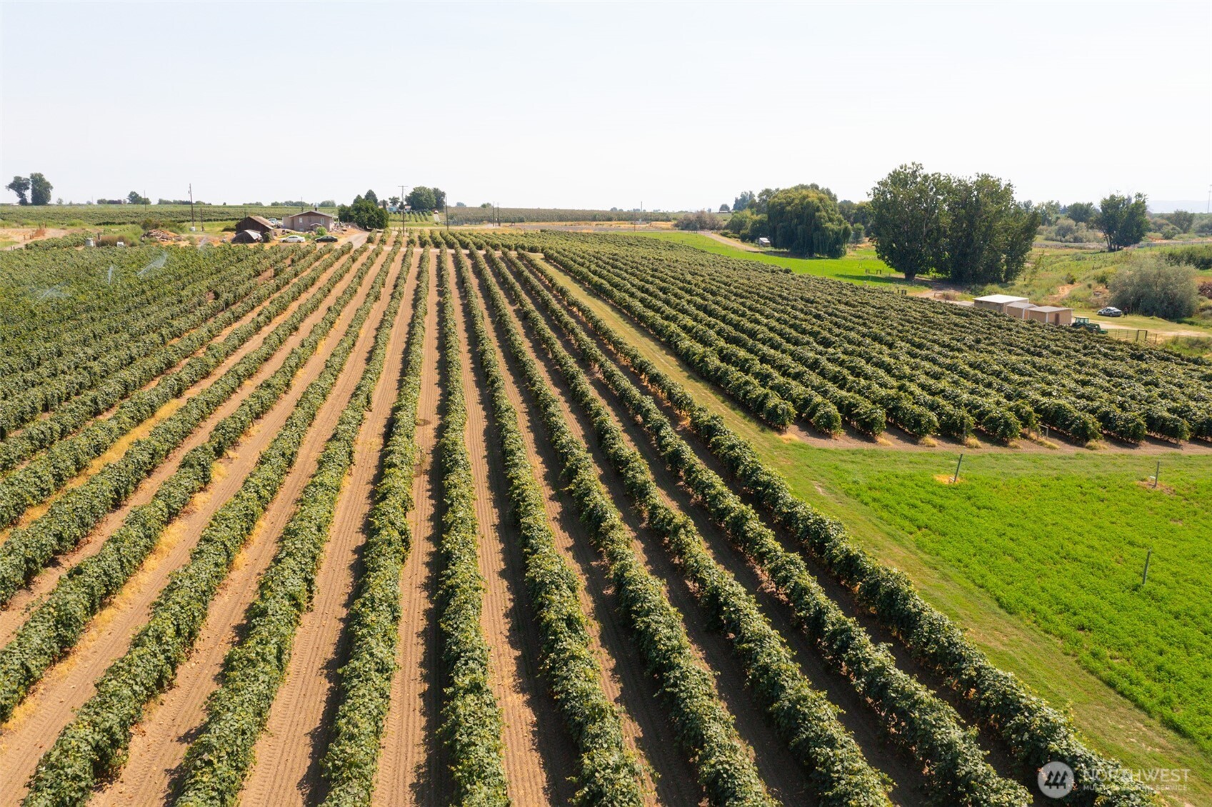 0 Olmstead Road Grandview, WA 98930 - Photo 9 of 31 a view of a yard