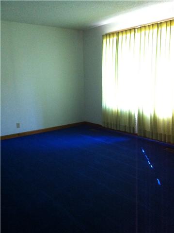 2900 Bluebird Drive Springfield, TN 37172 - Photo 6 of 10 Original carpet - but never walked on in the living room